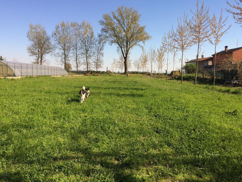 Yoghy e Bubu Daire Gambolò Dış mekan fotoğraf